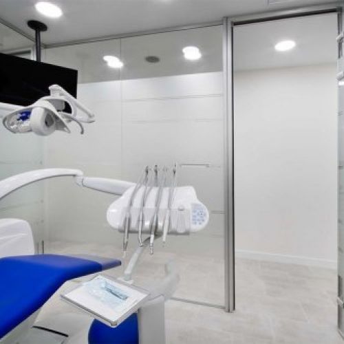 prótesis dental